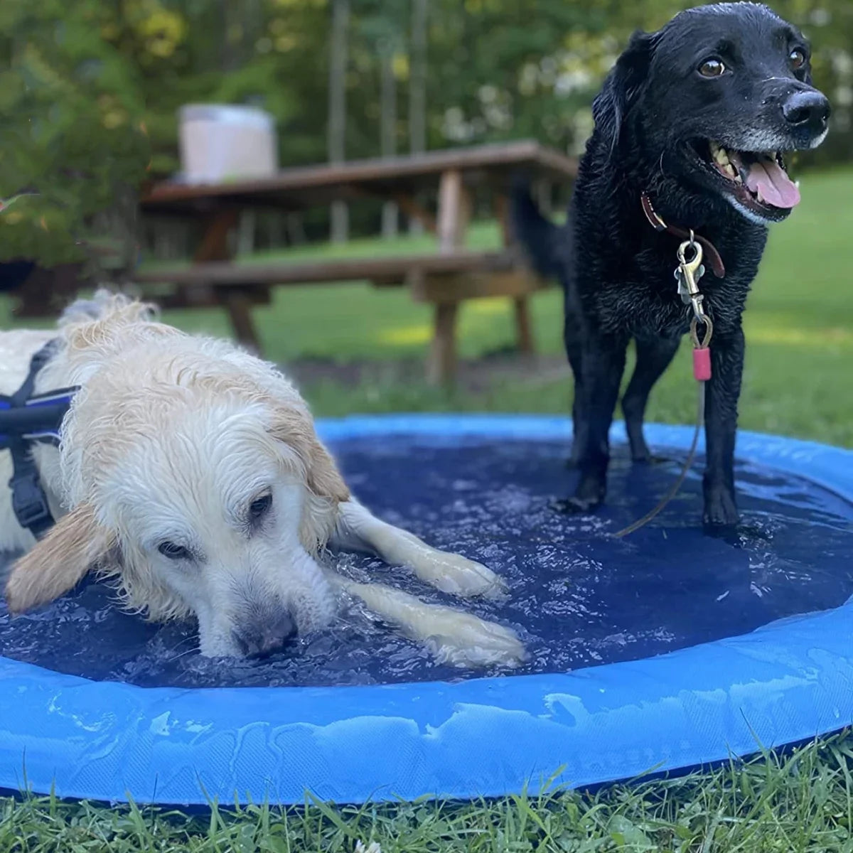 Pet Water Sprinkler Pool